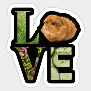LOVE Guinea Pig Sticker